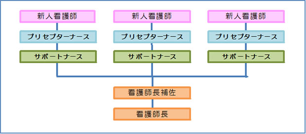 部署の新人支援体制