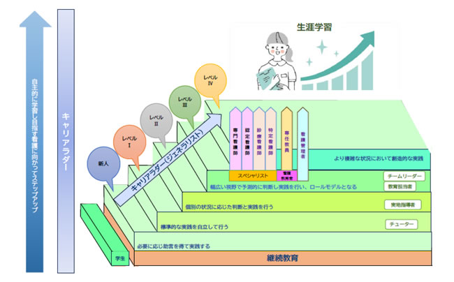 キャリアラダーのイメージ図