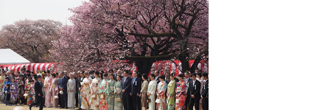 桜を見る会